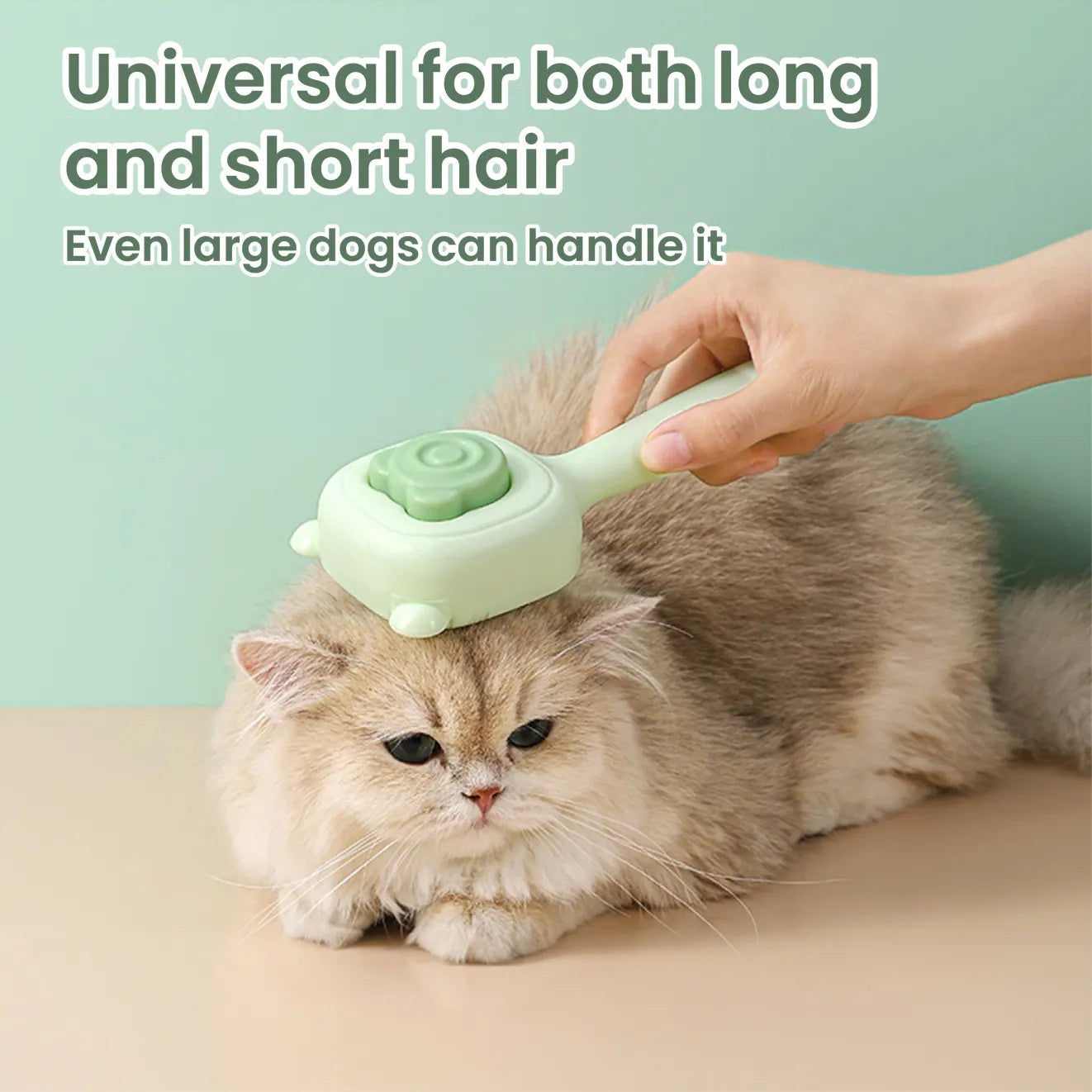 Multi-Functional Pet Spray Comb – One-Key Spray & Deep Hair Removal for All Pet Types care 48