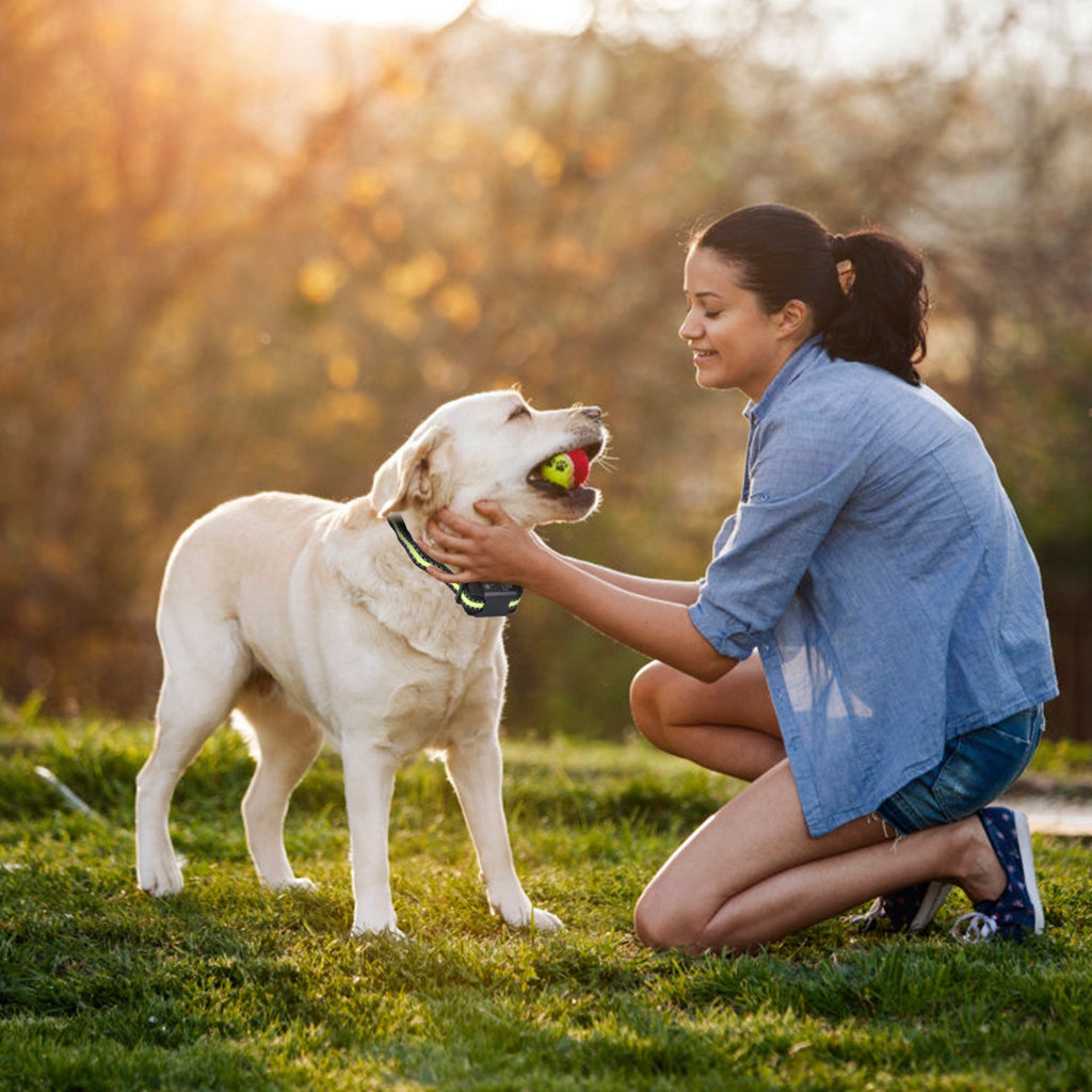 Rechargeable Dog Bark Collar – Waterproof Anti-Bark Device with Beep, Vibration, Static & 6 Intensity Levels, Dual Modes ACS50