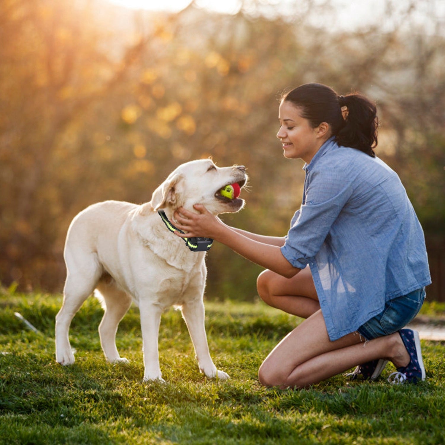 Rechargeable Dog Bark Collar – Waterproof Anti-Bark Device with Beep, Vibration, Static & 6 Intensity Levels, Dual Modes ACS50