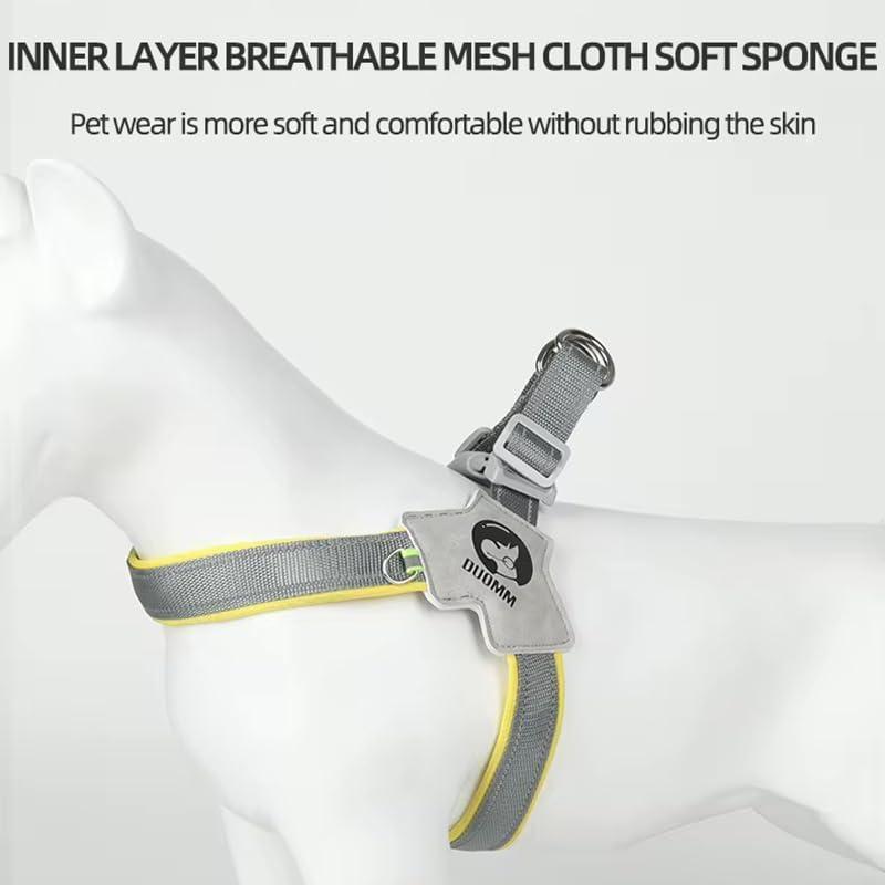 No-Pull Reflective Pet Harness & Leash Set – Adjustable Leather Control Harness for Dogs & Cats COL11