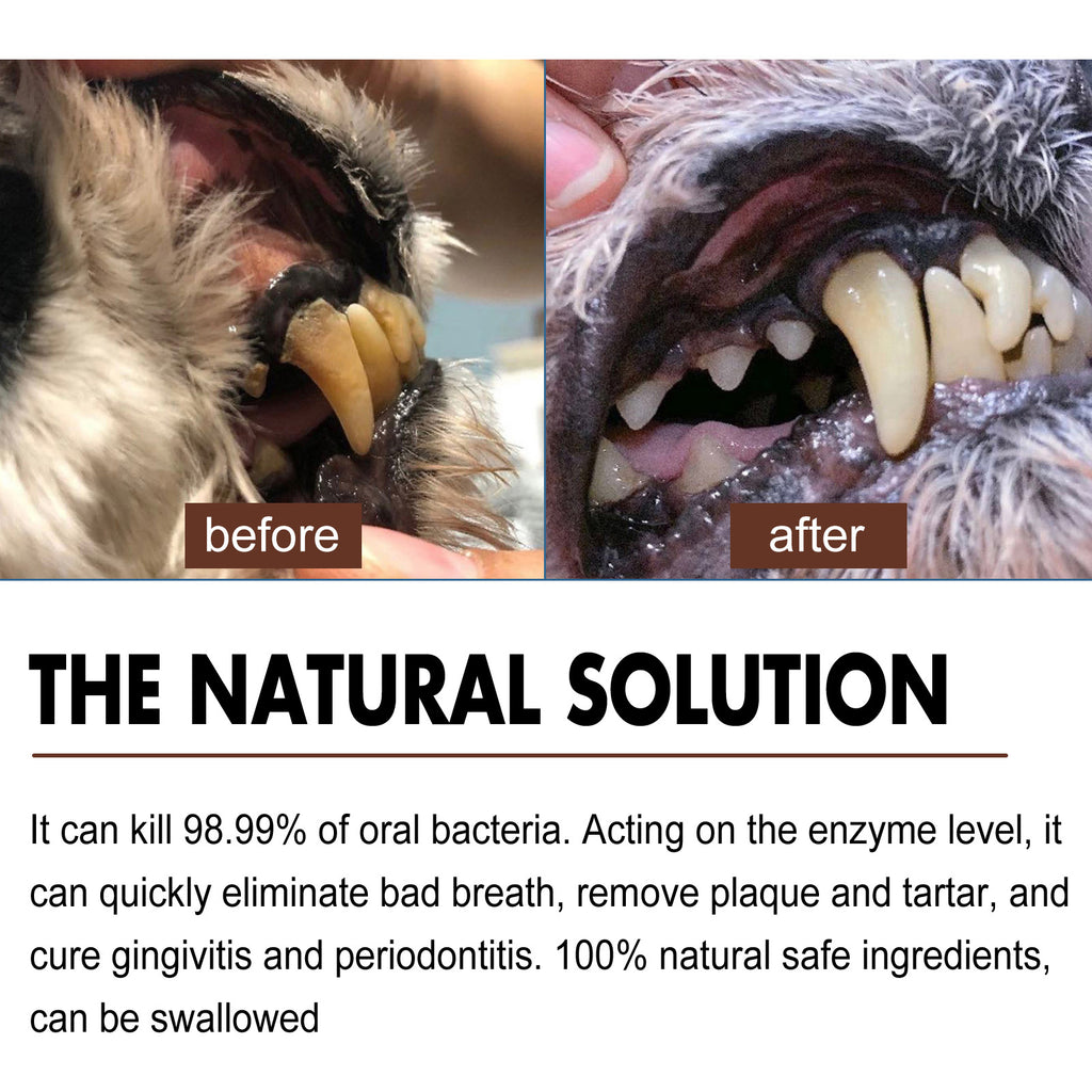 Pet Tooth Cleaning Spray – Fresh Breath & Dental Care for Dogs and Cats care 23