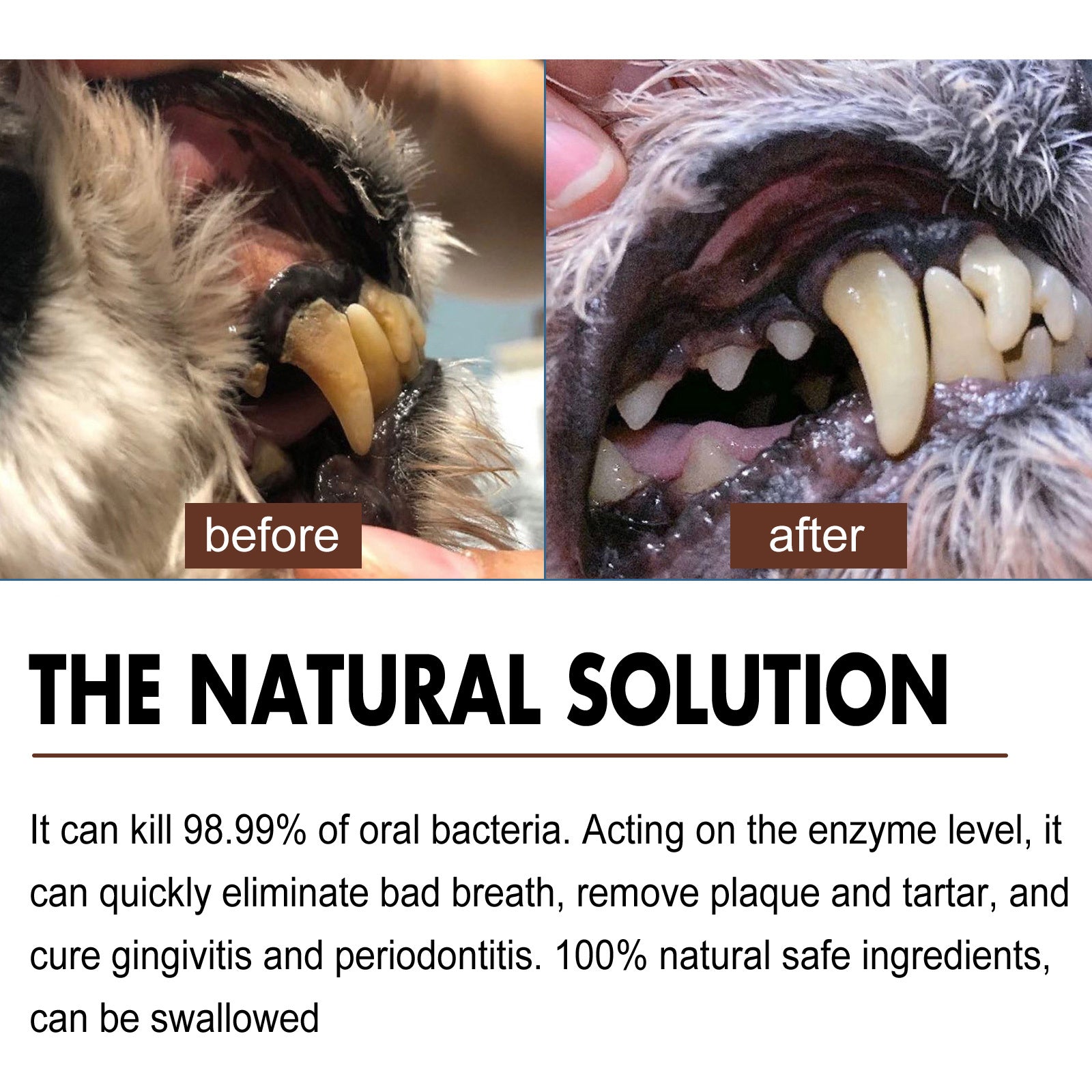 Pet Tooth Cleaning Spray – Fresh Breath & Dental Care for Dogs and Cats care 23