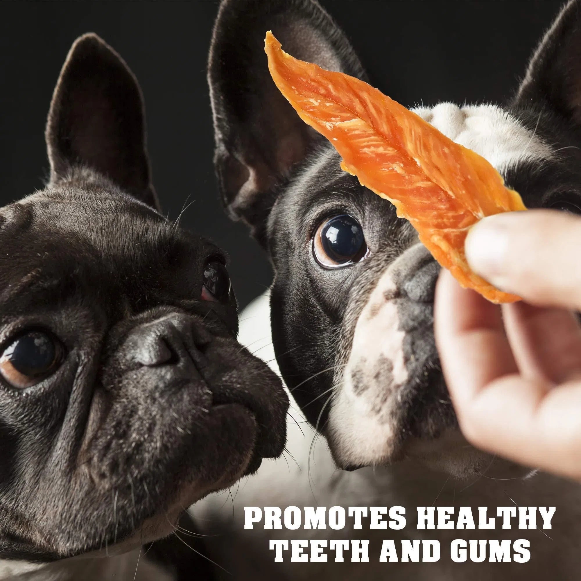 Feeding Chicken Jerky Dog Treats – 1.5 lb Human-Grade, Grain-Free Organic Meat Strips, All-Natural High Protein Chews for Training Small & Large Dogs