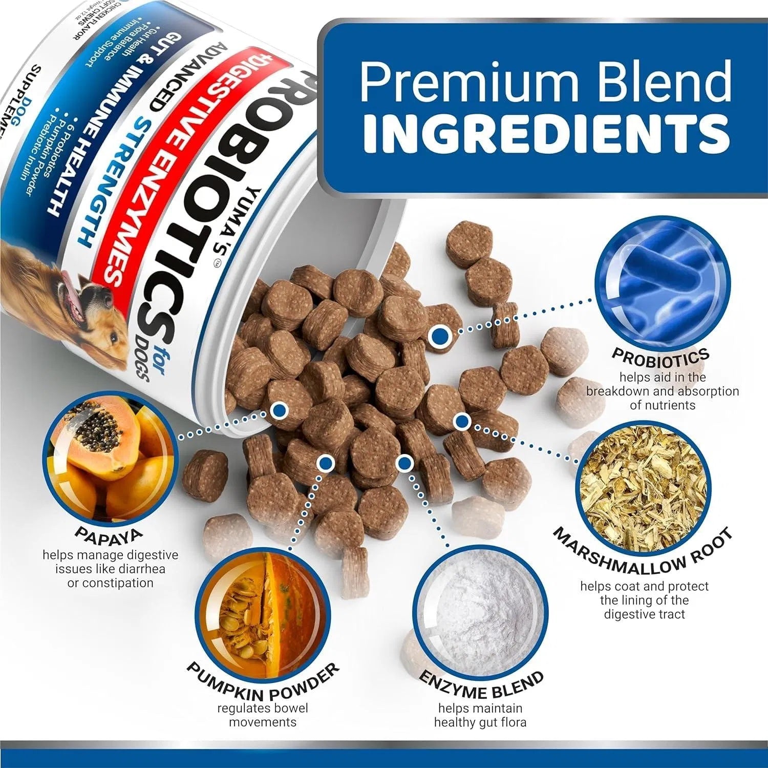 Feeding 2-Pack Probiotics & Digestive Enzymes for Dogs – Prebiotic Fiber Supplement for Diarrhea, Gas, Constipation & Stomach Relief (340 Chews Total)