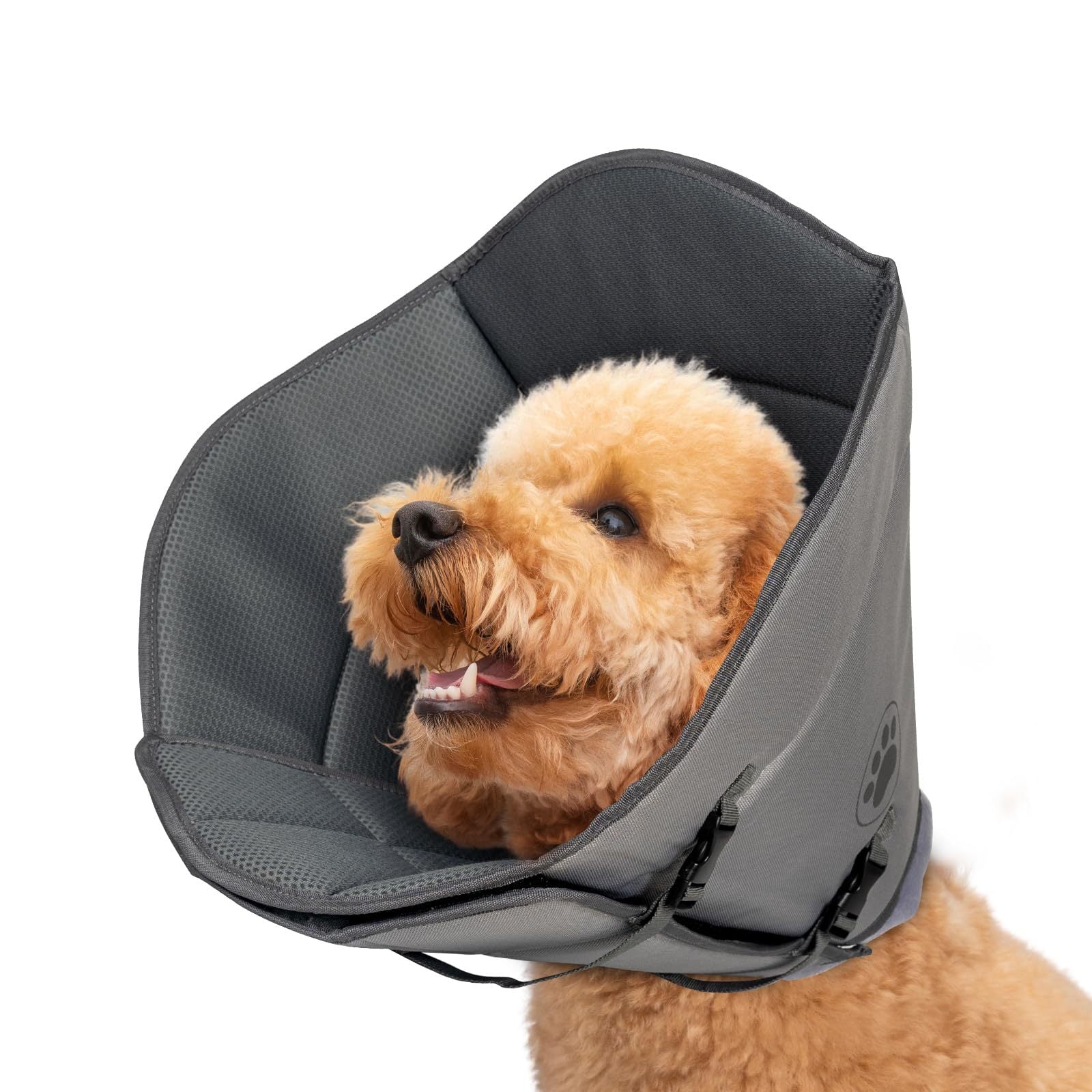Single-Layer Elizabethan Collar for Pets – Soft Protective Recovery Cone, Size M ACS36
