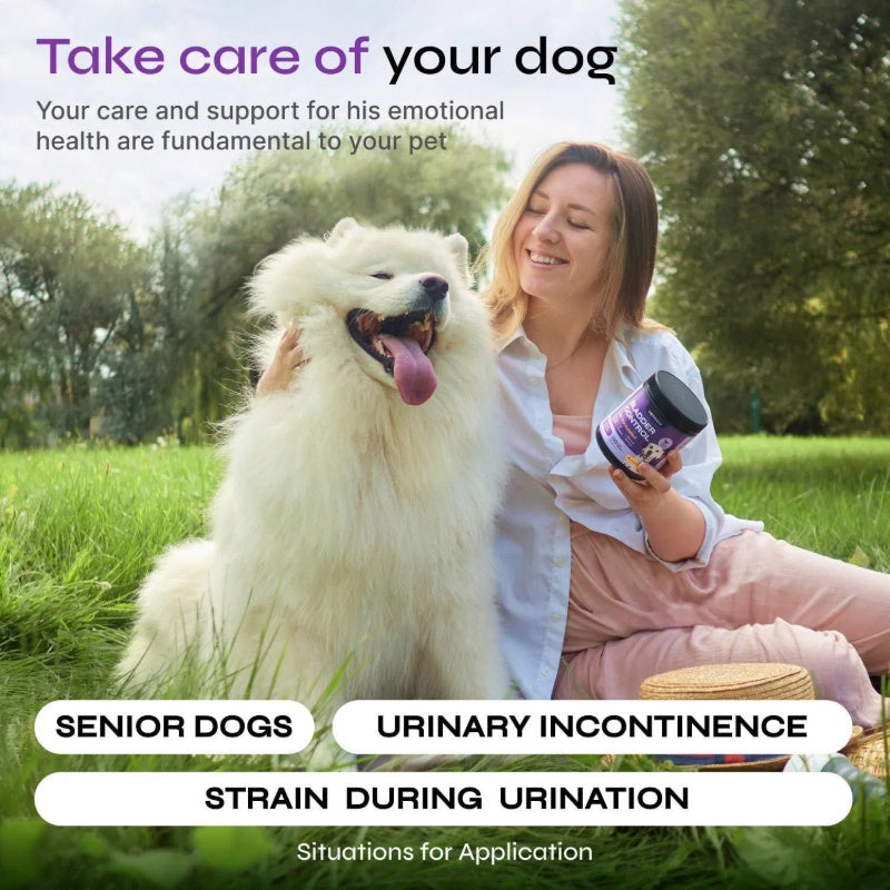 Feeding Dog UTI Treatment Chews – Duck Flavor Cranberry & D-Mannose Supplement for Bladder Control, Urinary Tract & Kidney Health, Incontinence Relief