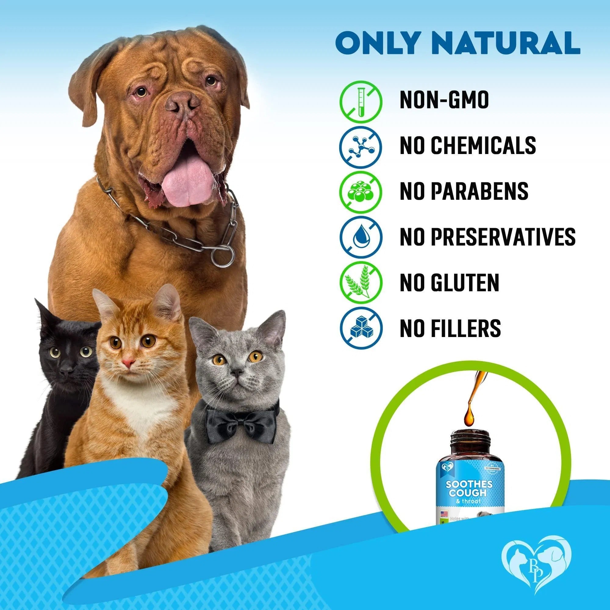 Feeding Natural Kennel Cough Treatment for Dogs & Cats – Respiratory Infection, Cold, Cough & Collapsed Trachea Relief, Cat Asthma Support