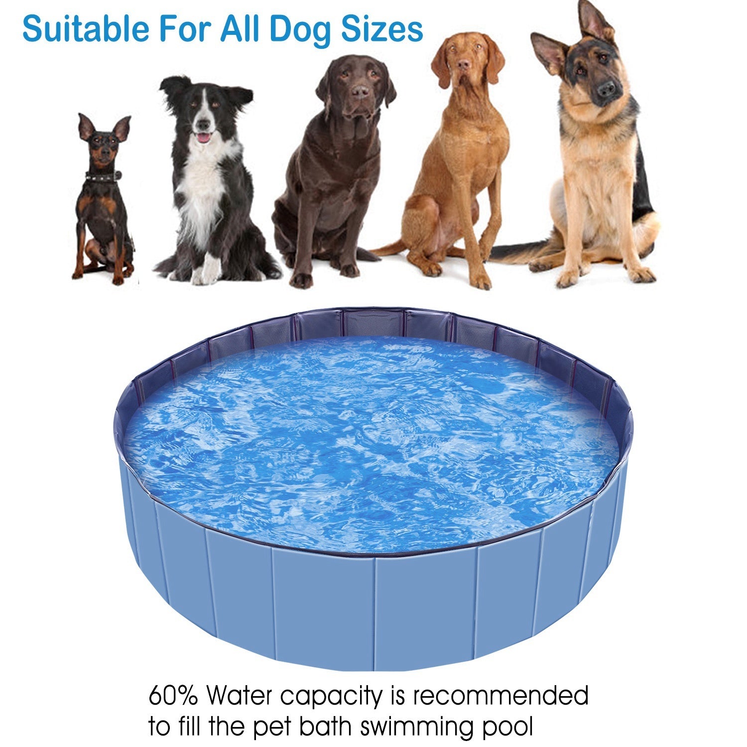 Foldable Pet Swimming Pool (160x160x30cm) – PVC Dog Bathing Tub & Playmat care 49