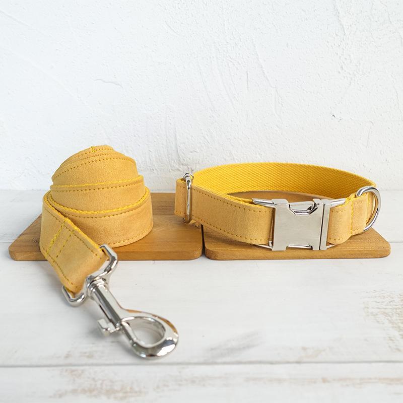 Nala Dog Collar with Traction Rope – Durable Pet Leash for Safe Walks & Drinking & Feeding Areas COL 12